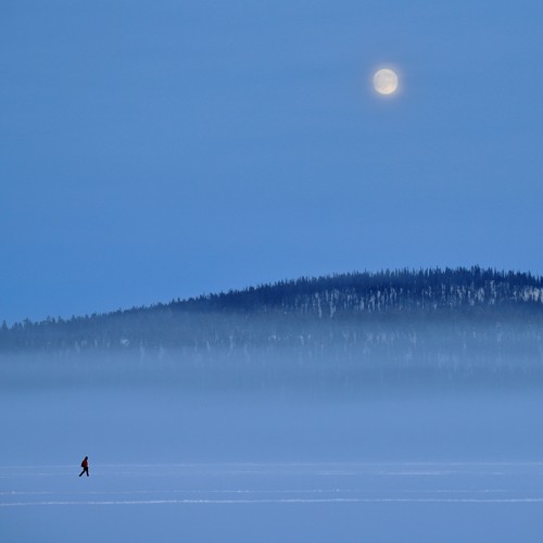 Husky Winter Traum in Lappland 